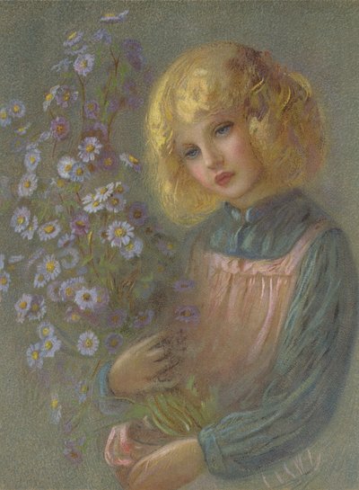 Aster di San Michele da English School
